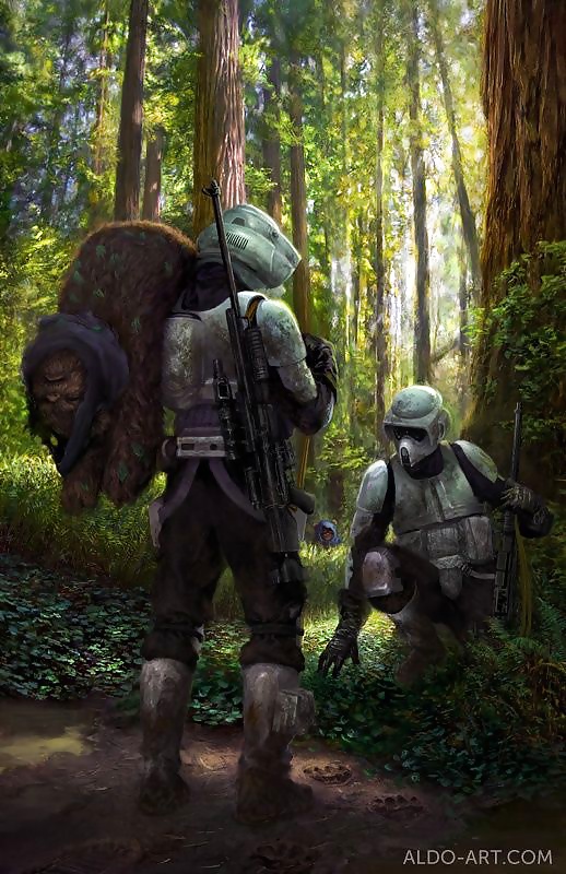 Star Wars Planets Endor  8