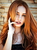 Janas Precious Ginger 823 5